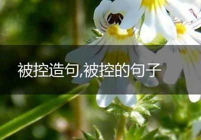 被控造句,被控的句子