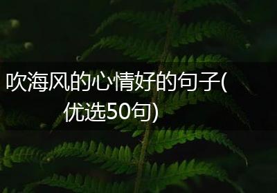 吹海风的心情好的句子(优选50句)