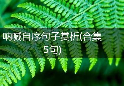 呐喊自序句子赏析(合集5句)
