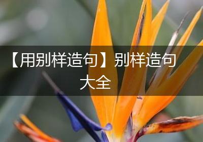 【用别样造句】别样造句大全