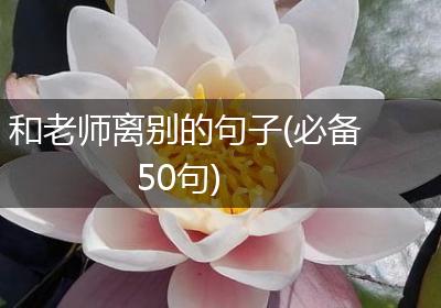 和老师离别的句子(必备50句)