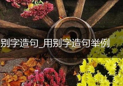 别字造句_用别字造句举例