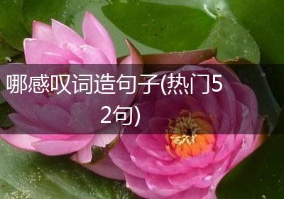 哪感叹词造句子(热门52句)