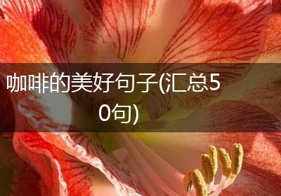 咖啡的美好句子(汇总50句)