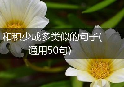 和积少成多类似的句子(通用50句)