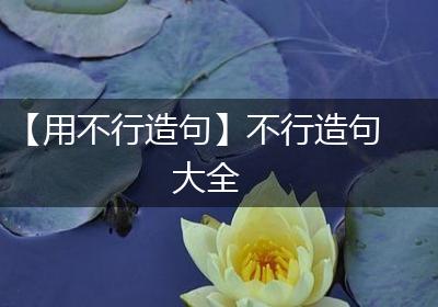 【用不行造句】不行造句大全