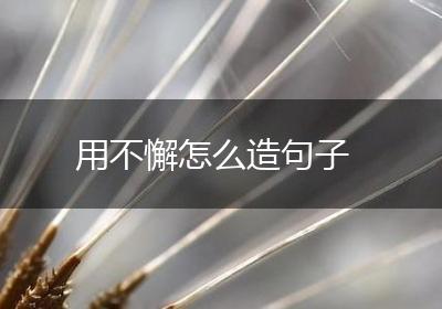 用不懈怎么造句子