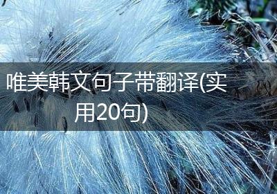 唯美韩文句子带翻译(实用20句)
