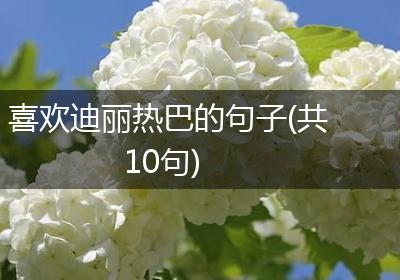 喜欢迪丽热巴的句子(共10句)