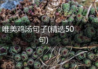 唯美鸡汤句子(精选50句)