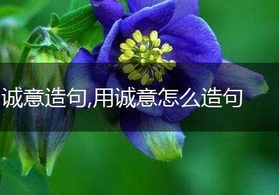 诚意造句,用诚意怎么造句