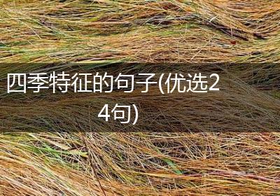 四季特征的句子(优选24句)
