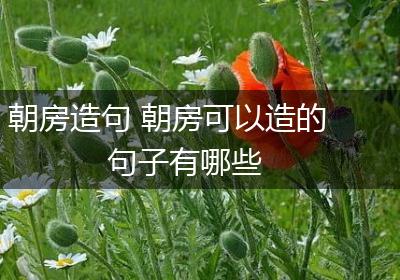 朝房造句 朝房可以造的句子有哪些
