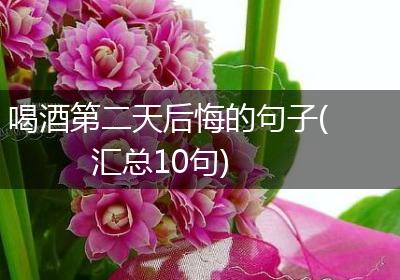 喝酒第二天后悔的句子(汇总10句)