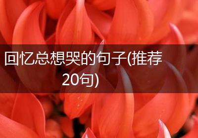 回忆总想哭的句子(推荐20句)