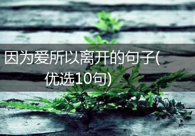 因为爱所以离开的句子(优选10句)