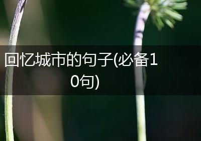 回忆城市的句子(必备10句)