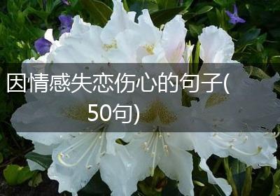 因情感失恋伤心的句子(50句)