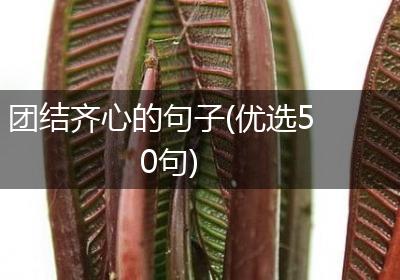 团结齐心的句子(优选50句)