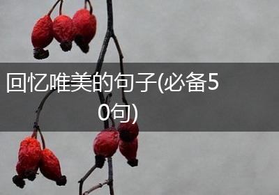回忆唯美的句子(必备50句)