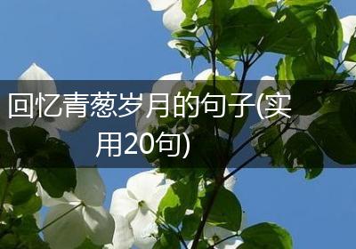 回忆青葱岁月的句子(实用20句)