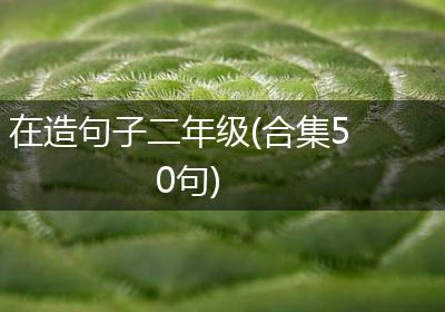 在造句子二年级(合集50句)