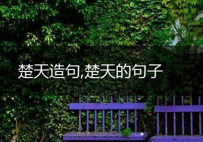 楚天造句,楚天的句子