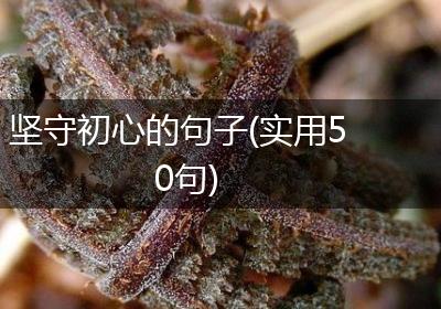 坚守初心的句子(实用50句)
