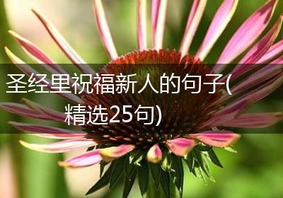 圣经里祝福新人的句子(精选25句)