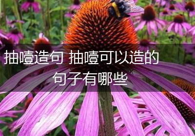 抽噎造句 抽噎可以造的句子有哪些