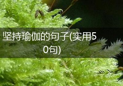 坚持瑜伽的句子(实用50句)