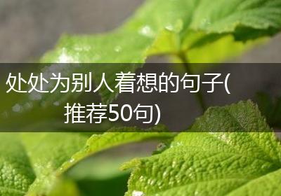 处处为别人着想的句子(推荐50句)