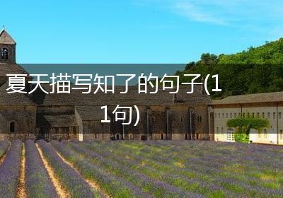 夏天描写知了的句子(11句)