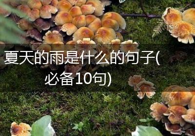 夏天的雨是什么的句子(必备10句)