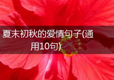 夏末初秋的爱情句子(通用10句)