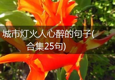 城市灯火人心醉的句子(合集25句)