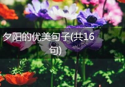 夕阳的优美句子(共16句)