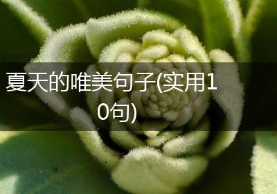 夏天的唯美句子(实用10句)
