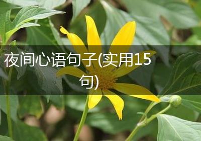 夜间心语句子(实用15句)