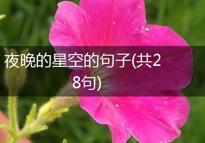 夜晚的星空的句子(共28句)