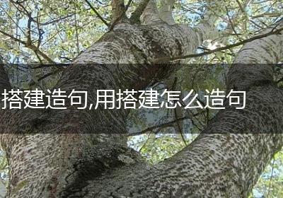 搭建造句,用搭建怎么造句