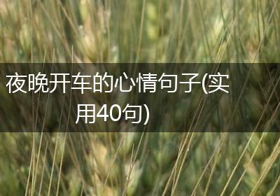 夜晚开车的心情句子(实用40句)