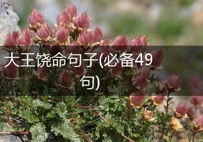大王饶命句子(必备49句)