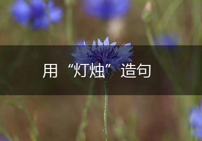 用“灯烛”造句