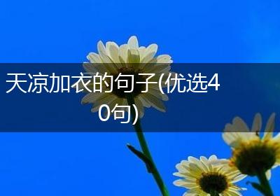 天凉加衣的句子(优选40句)