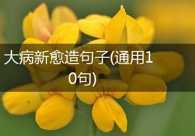 大病新愈造句子(通用10句)