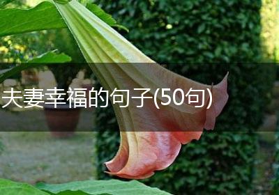 夫妻幸福的句子(50句)