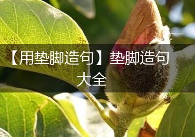 【用垫脚造句】垫脚造句大全