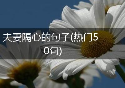 夫妻隔心的句子(热门50句)
