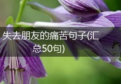 失去朋友的痛苦句子(汇总50句)